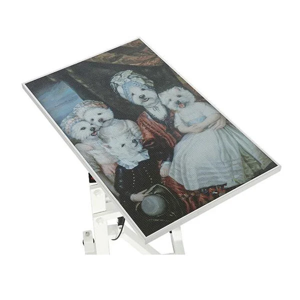 Square Pneumatic Lift Pet Grooming Table